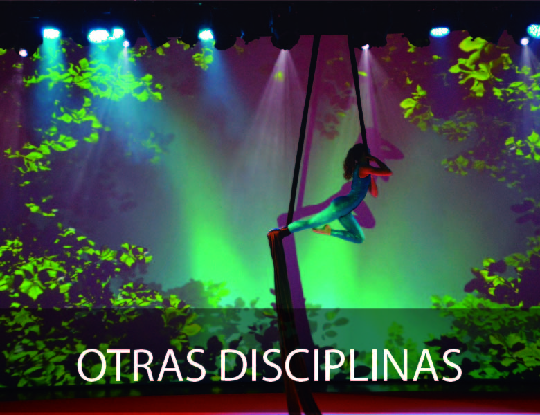 Otras Disciplinas